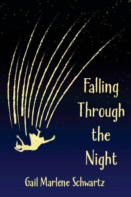 Book Falling Through the Night Gail Marlene Schwartz