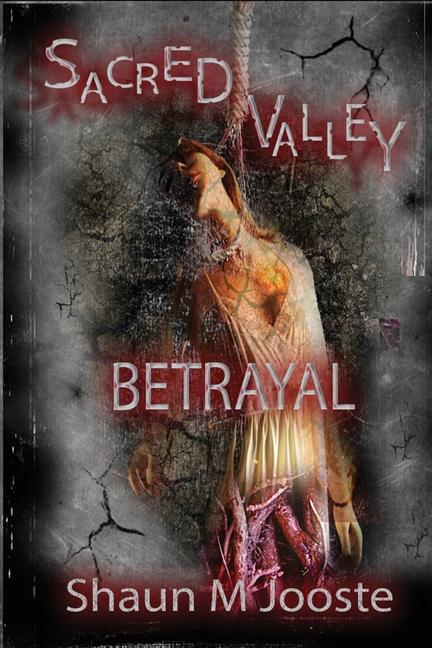 Boek Sacred Valley Shaun M Jooste
