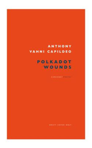 Boek Polkadot Wounds Anthony Vahni Capildeo