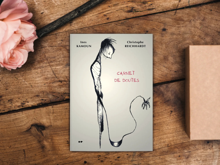 Knjiga Carnet de doutes Christophe Reicchard