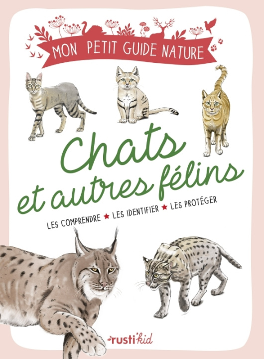 Kniha Les chats et félins 