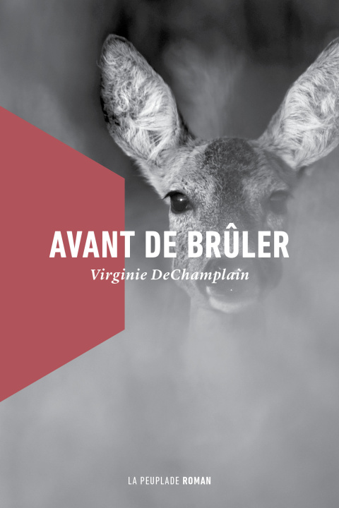 Knjiga Avant de brûler DeChamplain