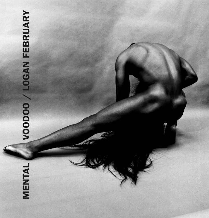 Book Mental Voodoo Christian Filips