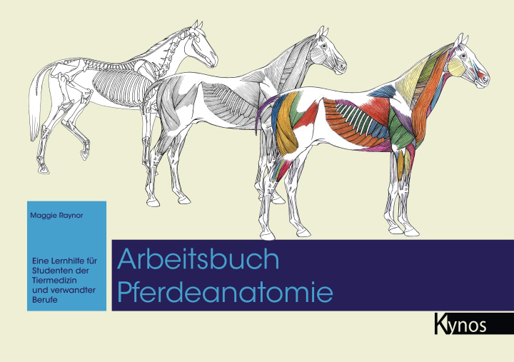 Βιβλίο Arbeitsbuch Pferdeanatomie Maggie Raynor