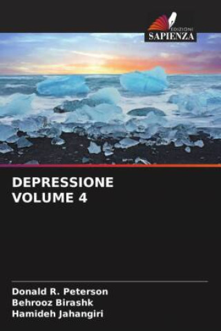 Knjiga DEPRESSIONE VOLUME 4 Behrooz Birashk