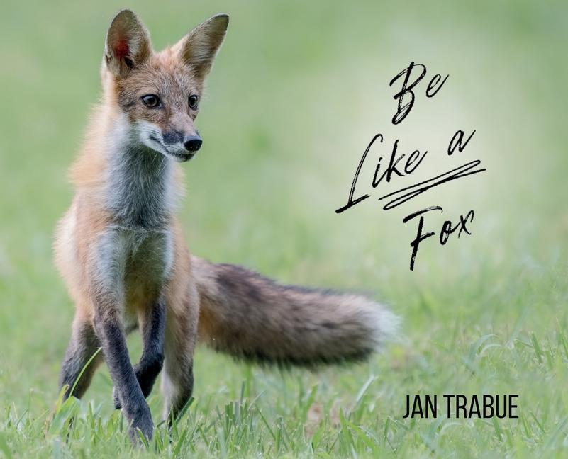 Kniha Be Like a Fox 