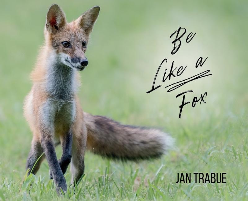 Book Be Like a Fox 