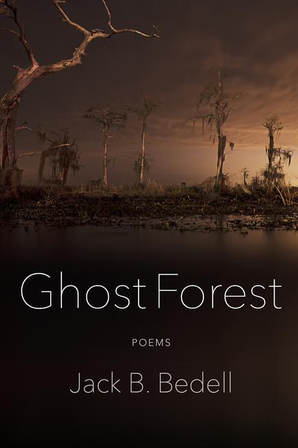 Book Ghost Forest 