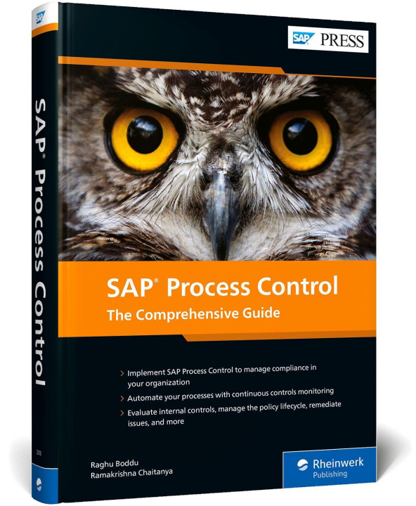 Kniha SAP Process Control Ramakrishna Chaitanya