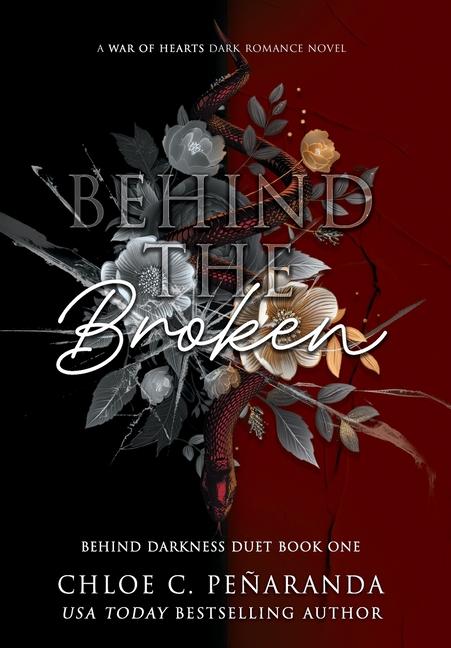Kniha Behind The Broken (Behind Darkness Duet Book 1) 