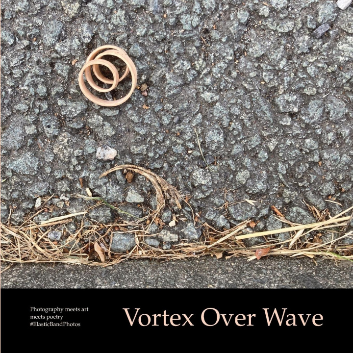 Knjiga Vortex Over Wave Sue Finch