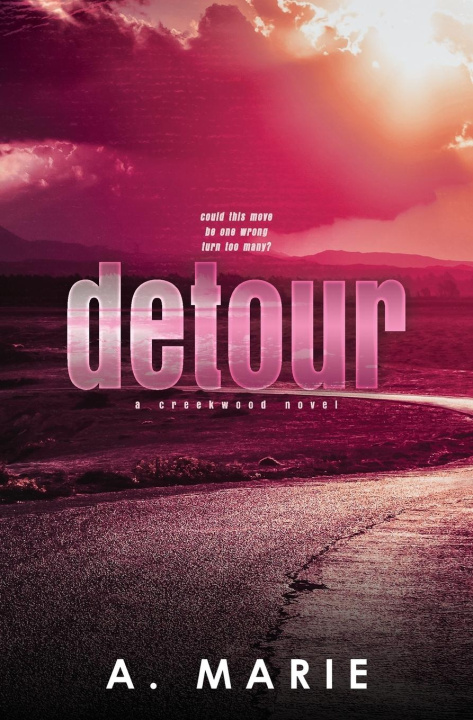 Book Detour Discreet Cover 