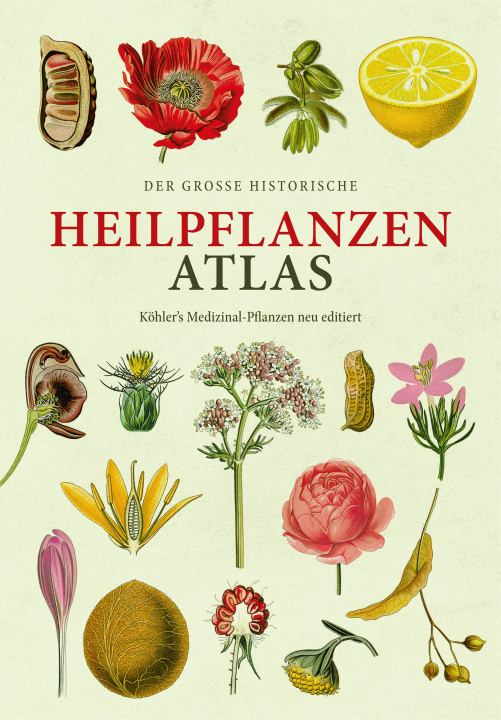 Книга Der große Heilpflanzen-Atlas (Erfolgsausgabe) Oliver Tackenberg