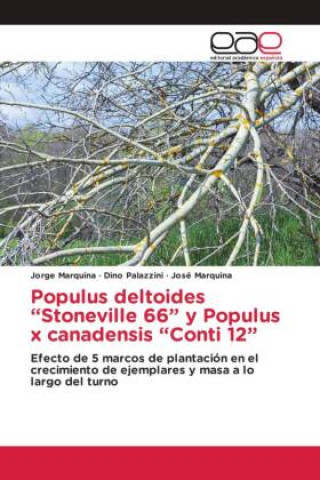 Könyv Populus deltoides ?Stoneville 66? y Populus x canadensis ?Conti 12? Dino Palazzini