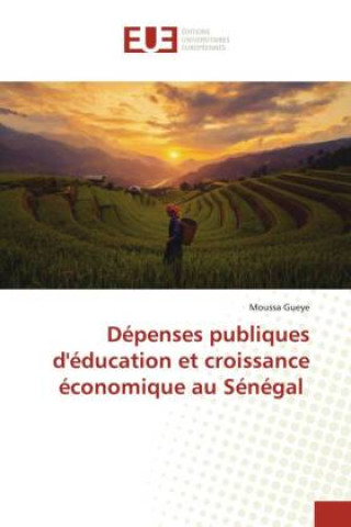Kniha Dépenses publiques d'éducation et croissance économique au Sénégal Moussa Gueye