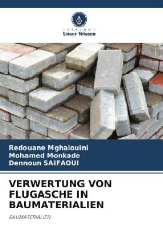 Kniha VERWERTUNG VON FLUGASCHE IN BAUMATERIALIEN Mohamed Monkade
