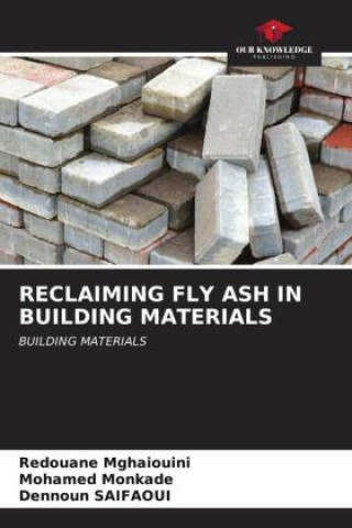 Kniha RECLAIMING FLY ASH IN BUILDING MATERIALS Mohamed Monkade