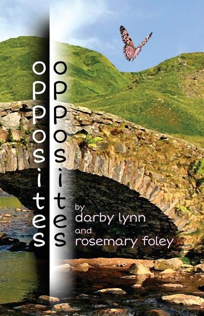 Knjiga opposites Darby Lynn
