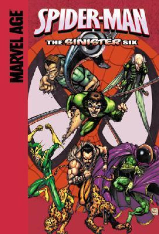Boek The Sinister Six Erica David