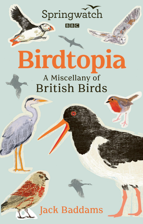 Książka Springwatch: Birdtopia Jack Baddams