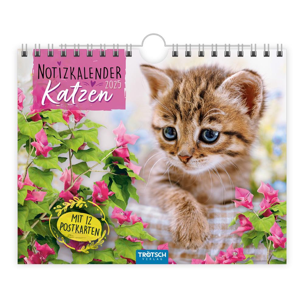 Kalendar/Rokovnik Trötsch Notizkalender Querformat Notizkalender Katzen 2025 mit 12 Postkarten 