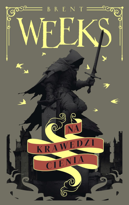 Buch Na krawędzi Cienia. Anioł Nocy. Tom 2 Brent Weeks