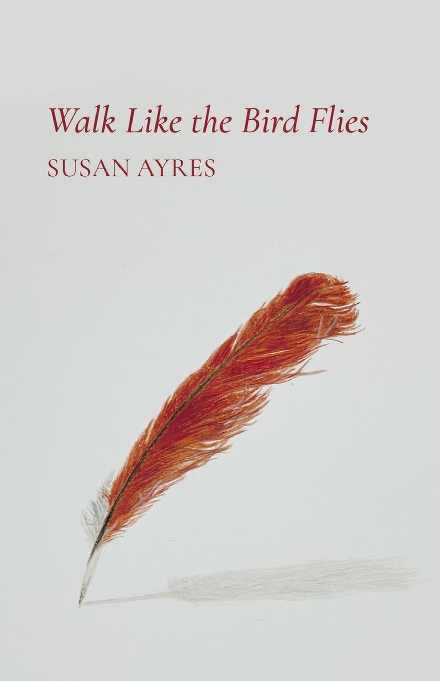 Knjiga Walk Like the Bird Flies Susan Ayres