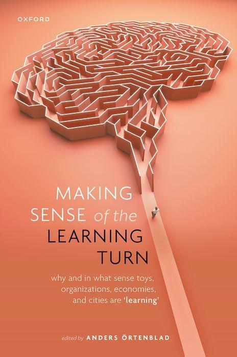 Książka Making Sense of the Learning Turn Why and In What Sense Toys, Organizations, Economies, and Cities are "Learning" (Hardback) 