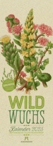 Kalendář/Diář Wildwuchs - Botanische Illustrationen - Graspapier-Kalender 2025 Ackermann Kunstverlag