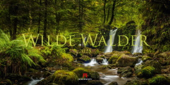 Calendar / Agendă Wilde Wälder Kalender 2025 
