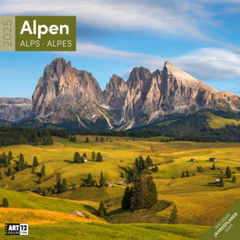 Kalendarz/Pamiętnik Alpen Kalender 2025 - 30x30 