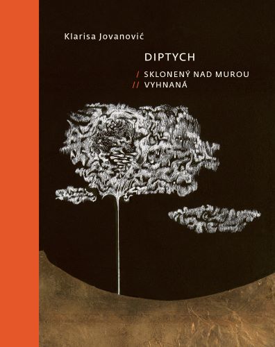 Kniha Diptych Klarisa Jovanović