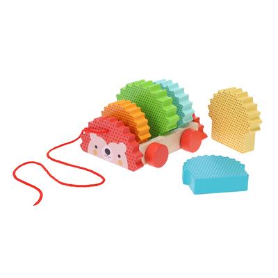 Buch Rainbow Hedgehog Wooden Pull Toy 