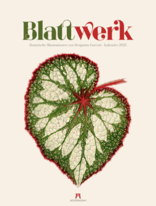 Kalendář/Diář Blattwerk - Botanische Illustrationen Kalender 2025 Ackermann Kunstverlag