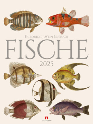 Calendar / Agendă Fische Kalender 2025 Ackermann Kunstverlag