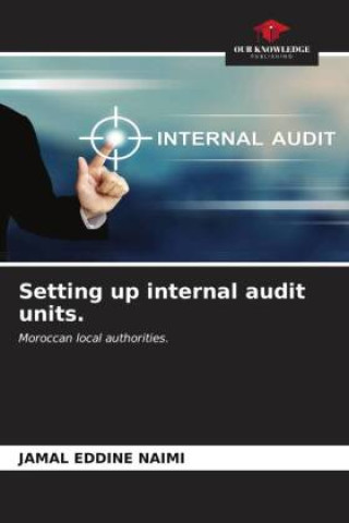 Книга Setting up internal audit units. 