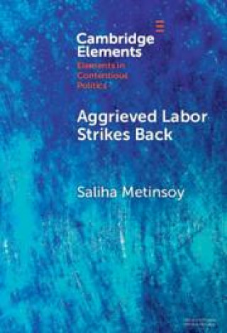 Knjiga Aggrieved Labor Strikes Back Saliha Metinsoy