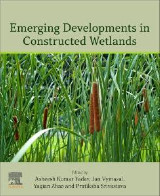 Könyv Emerging Developments in Constructed Wetlands Asheesh Kumar Yadav