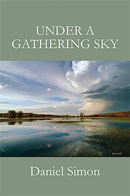 Kniha Under a Gathering Sky Daniel A. Simon