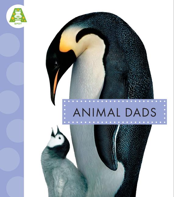 Knjiga Animal Dads Schuh