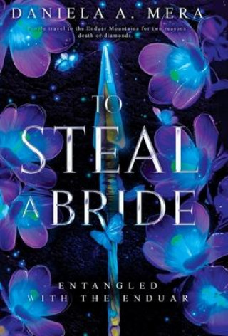 Boek To Steal a Bride Daniela A. Mera