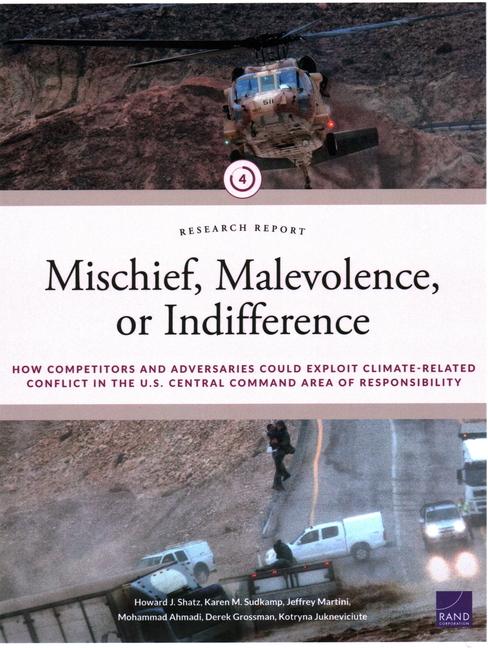 Knjiga Mischief, Malevolence, or Indifference? Karen M Sudkamp