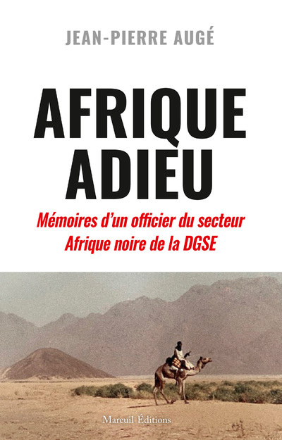 Kniha Afrique Adieu Yann Lagadec