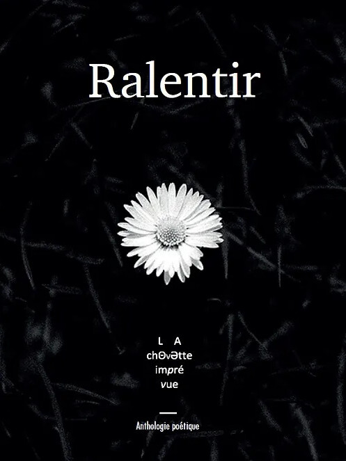 Book Ralentir 