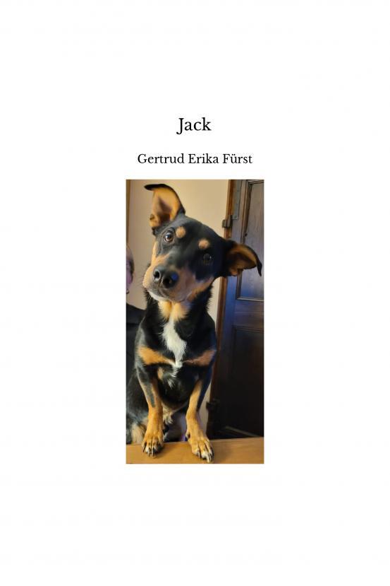 Knjiga Jack Erika Fürst
