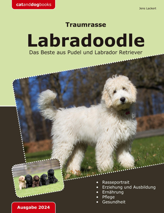 Buch Traumrasse: Labradoodle 