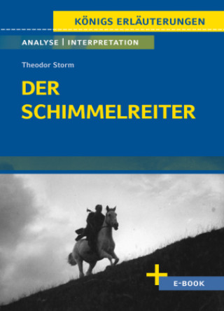 Kniha Der Schimmelreiter von Theodor Storm. Theodor Storm