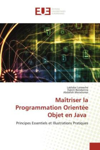Kniha Maîtriser la Programmation Orientée Objet en Java Hakim Bendjenna
