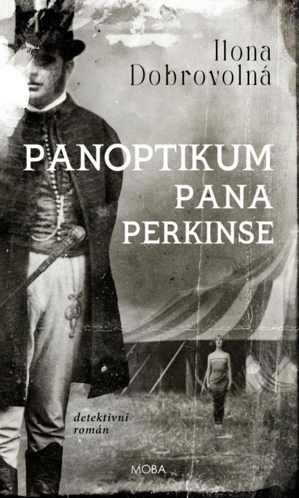 Kniha Panoptikum pana Perkinse Ilona Dobrovolná