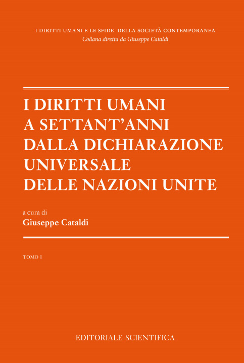 Knjiga diritti umani a settant'anni dalla dichiarazione universale delle Nazioni unite 